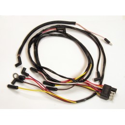 Cablaggio motore f, strumenti di visualizzazione (V8) 66
