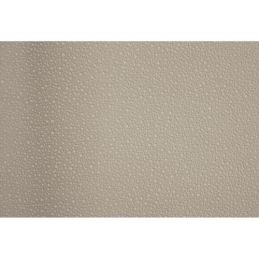 Ciel de toit coupé blanc 65-68