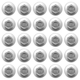 Boulons d'ailes et de carrosserie "Ford" 25 pièces acier inoxydable Clé 1/2