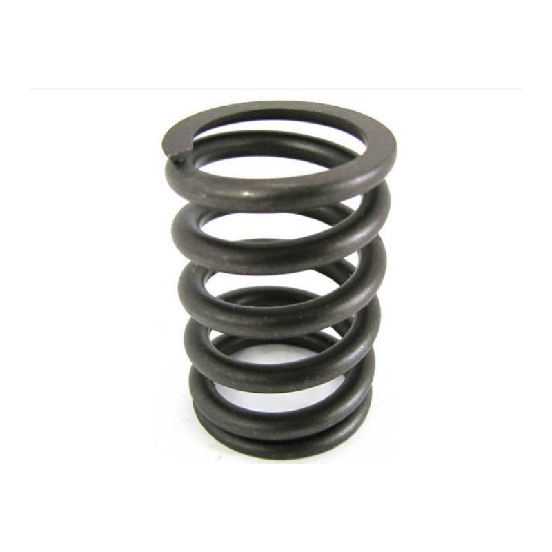 Valve spring 289 302 67-68