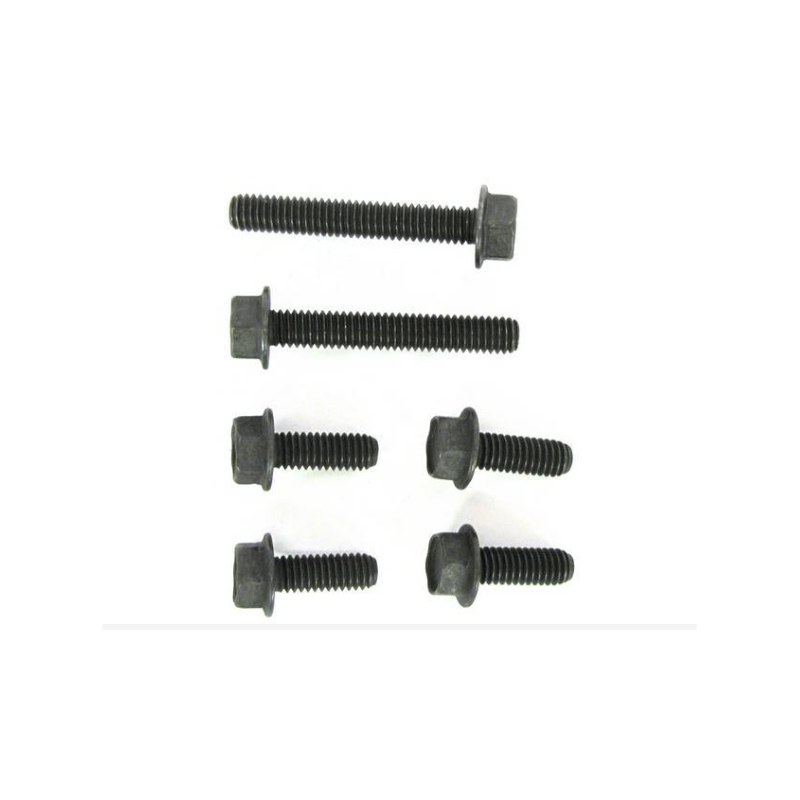 Set șuruburi de montare capac distribuție, pentru motor cu generator 65 260 289