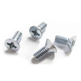 Striker Plate Screws 64-70 (4 pcs)