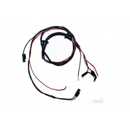 Wiring harness speaker/lighting door 65-66