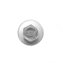 Vite corpo "Ford" in acciaio inox