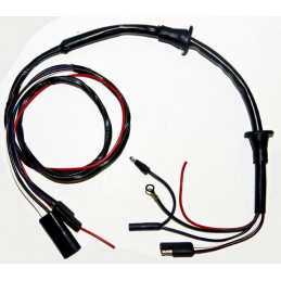 Wiring harness door speakers and lights 67-68