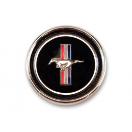 Emblema tabloului de bord 67-68