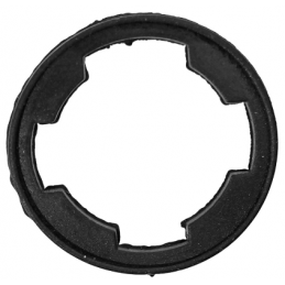 Gasket lock trunk 67-73