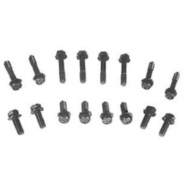 Screw set manifold 351W/302, 69