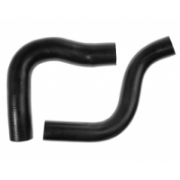 Serpenti